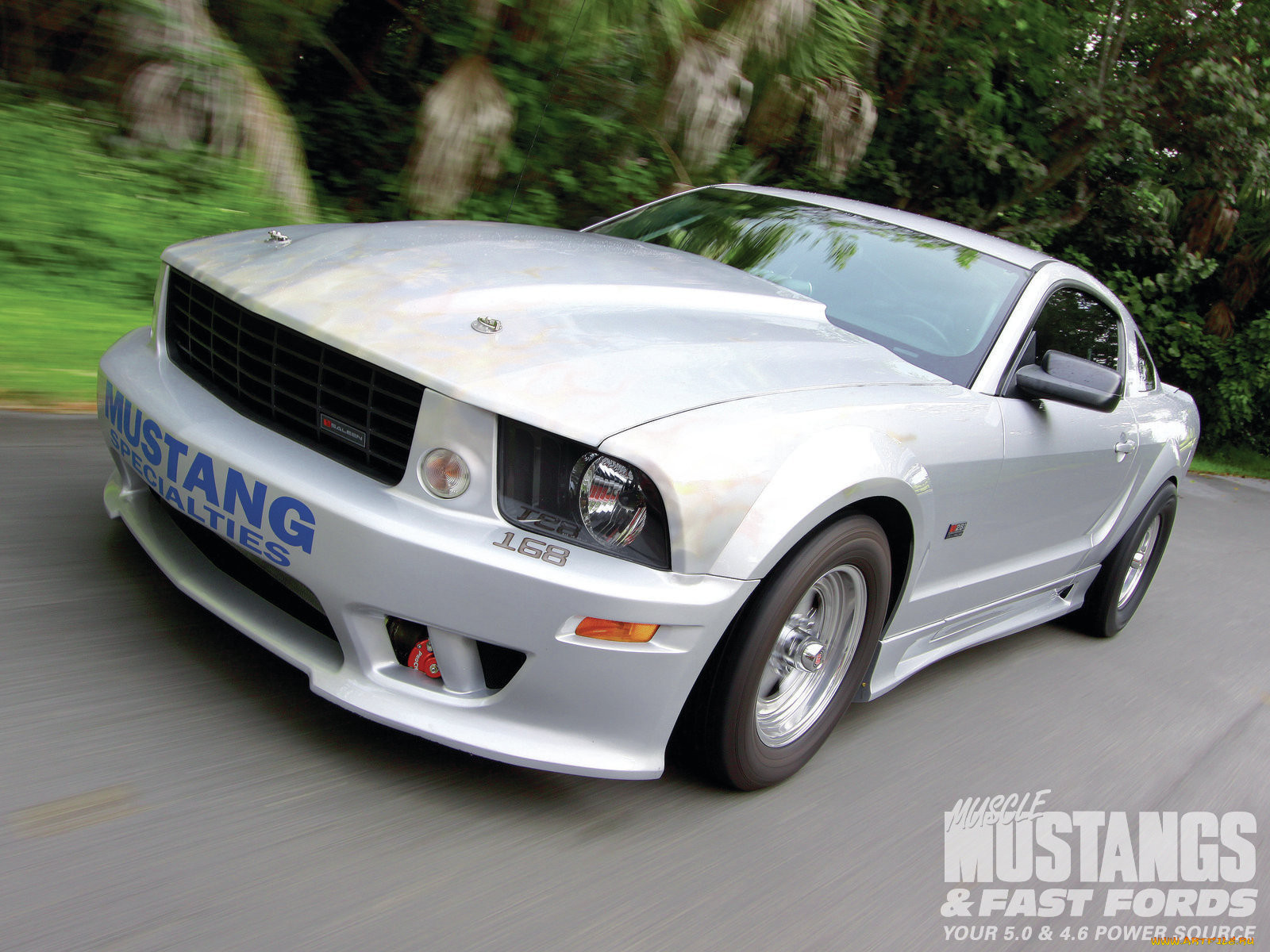 2005, s281, saleen, silver, stallion, , mustang